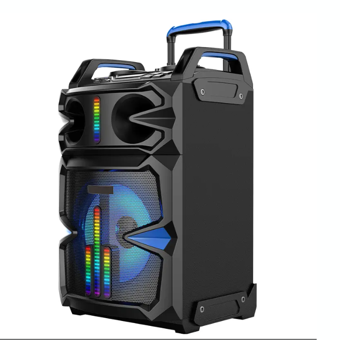 HAUT PARLEUR SANS FIL RECHARGEABLE GOLD SOUND NOIR