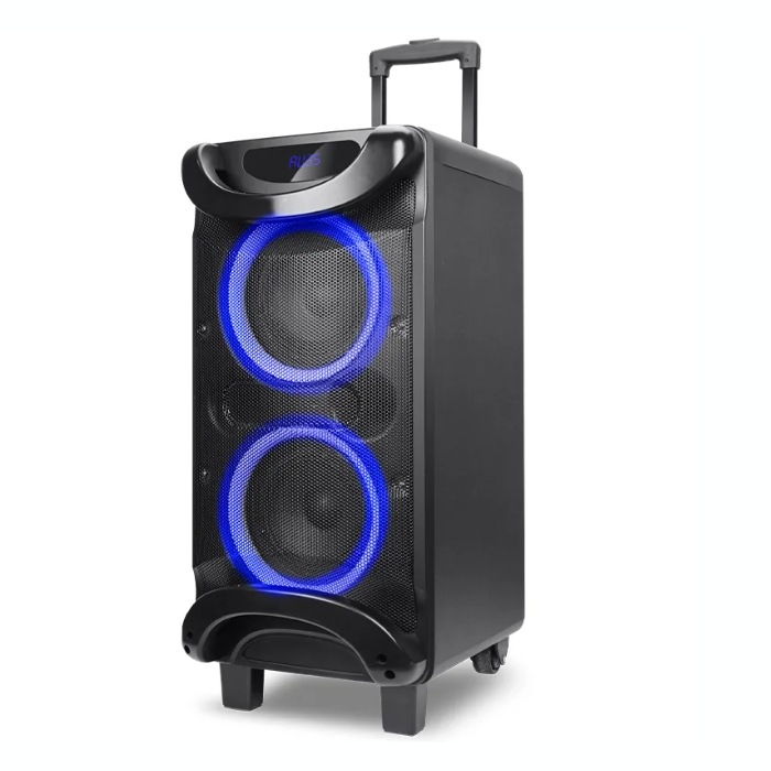 Haut Parleur Gold Sound Rechargeable Bluetooth 50W