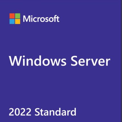 MICROSOFT WINDOWS SERVER 2022 STANDARD (P46171-A21)
