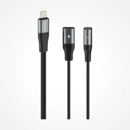 ADAPTATEUR ICONIX IC-AX2214