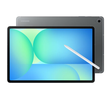 SAMSUNG TAB S10 FE+ (12+256) gris